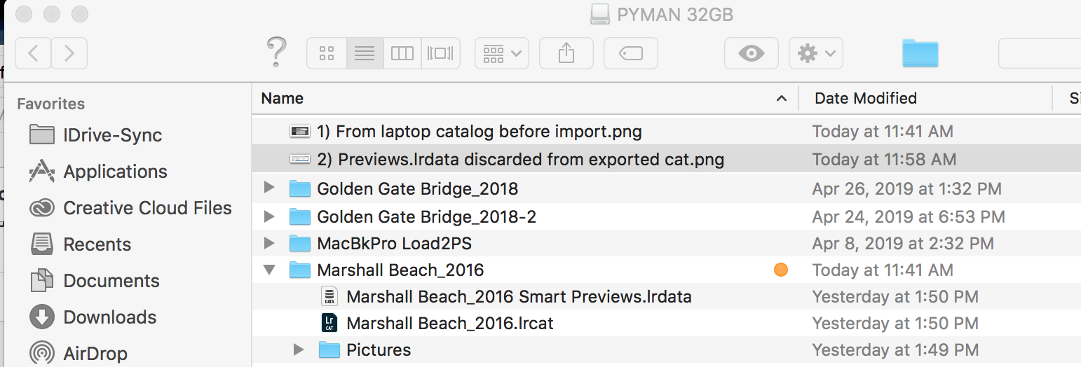 2) Previews.lrdata discarded from exported cat.png